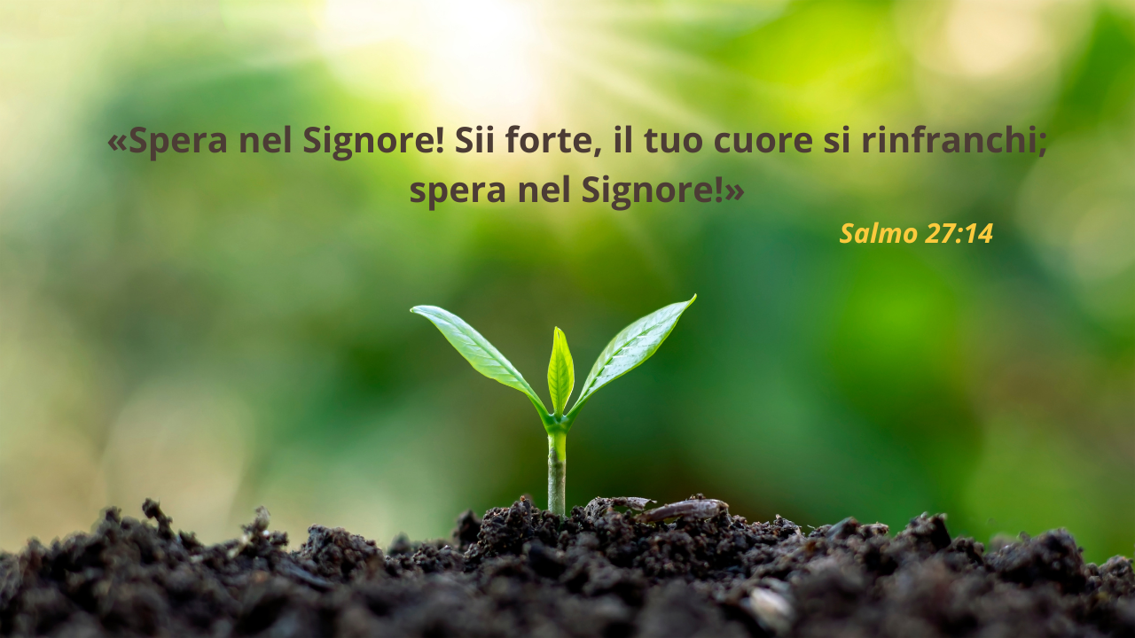 Spera